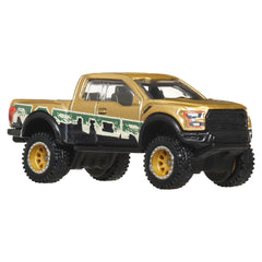 Hot Wheels Collector Vehículo de Colección 17 Ford F150 Raptor