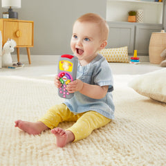 Fisher-Price Rires et Éveil La Télécommande de Sis Édition Anglaise