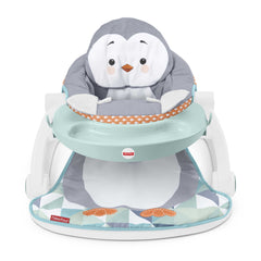Fisher-Price®  Siège Jeu et Confort Avec Plateau de Jeu